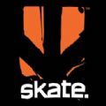 Skate Evaluation中文版
