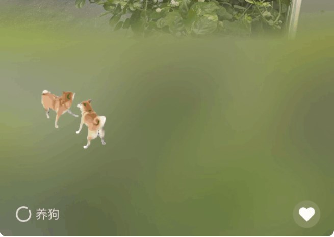 微信农场养猪游戏官方版下载  v8.0.23图4