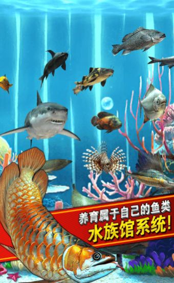 2020钓鱼发烧友5.6.4最新版安卓版  v5.6.4图3