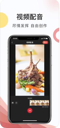 马赛克相机Pro app图2