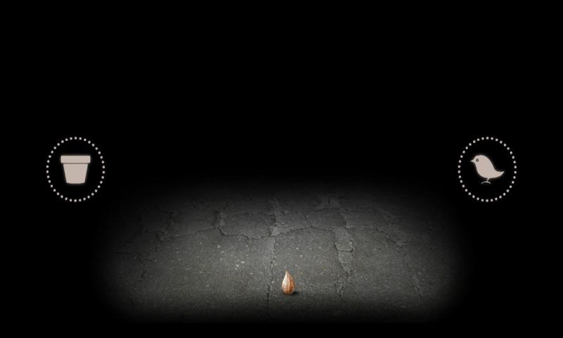 有丝分裂游戏图3