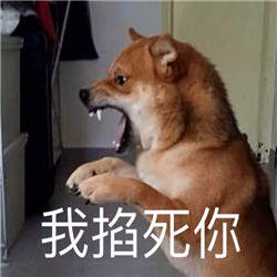 气死我了表情包柴犬咬笼子图2