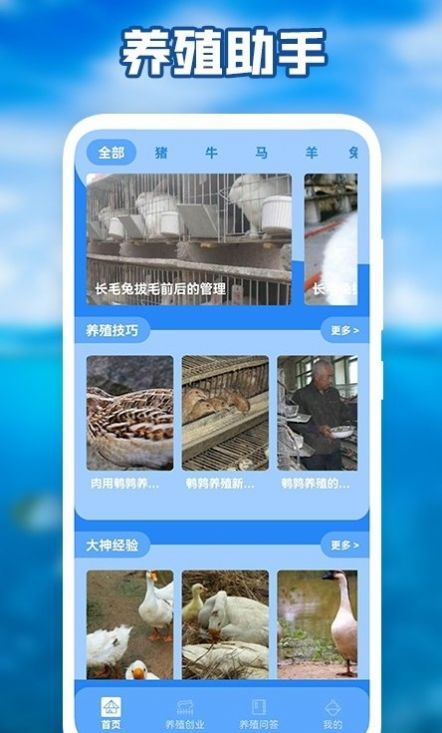 养猪场之星学习电子版图3