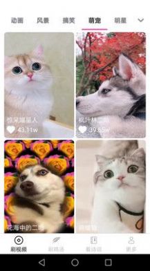 畅看刷刷app手机版  v1.4.2图2