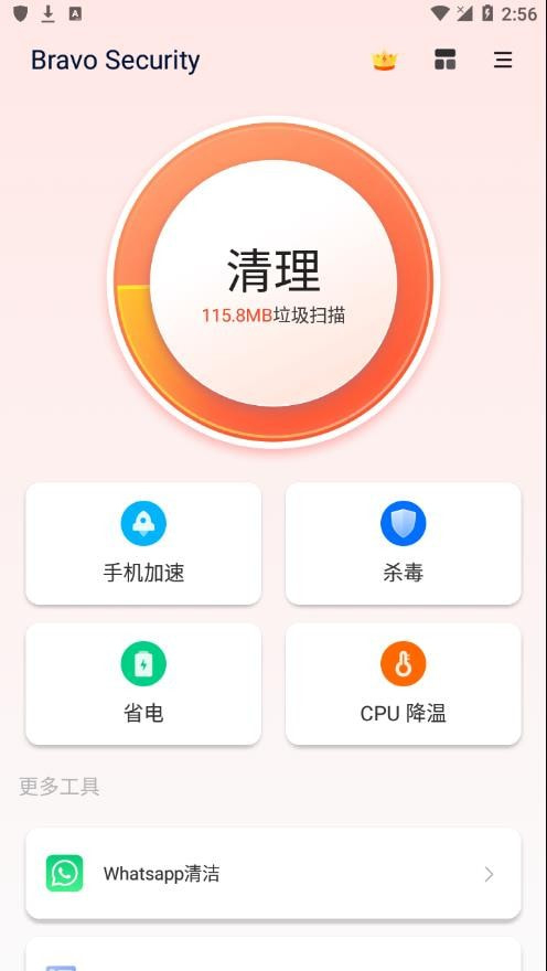 Bravo Security(病毒清理)图1