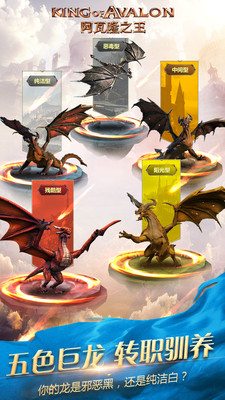 阿瓦隆之王图2
