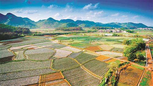 云上卢氏软件合集