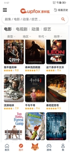 茶杯狐cupfox茶杯狐图3