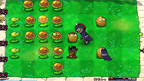 植物大战僵尸火影版图2