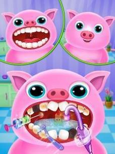 宠物牙科医生安卓版图8