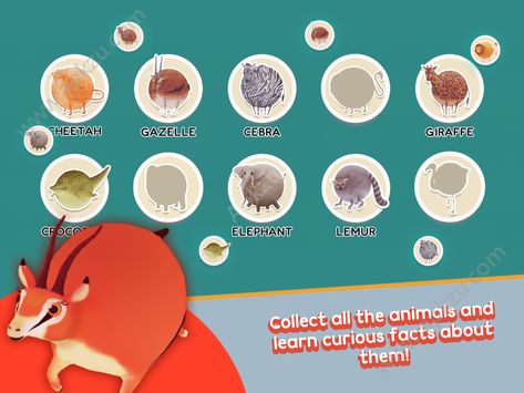 饱里饱气的动物们安卓游戏下载（Marblelous Animals）  v0.3图1