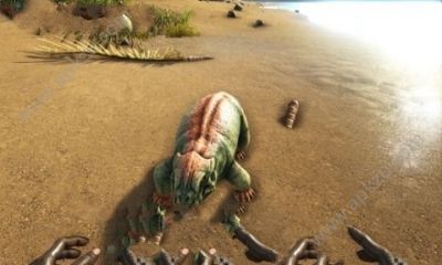 方舟进化2018安卓版图4