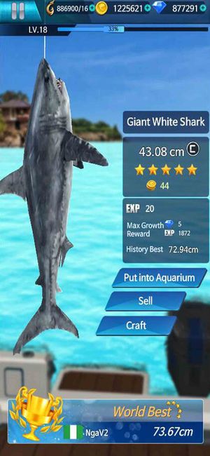 钓鱼锦标赛金币版（Fishing Championship）图片1