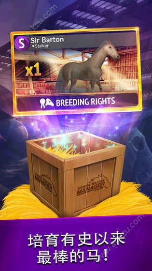 风云赛马游戏图2