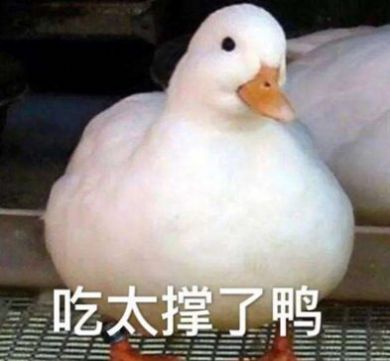 抖音小天鹅给个机会动图图4