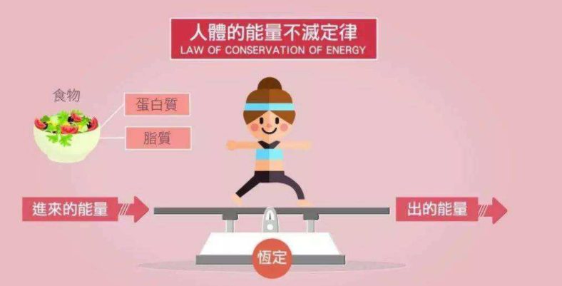 计算卡路里的减肥软件合集