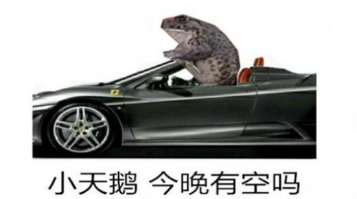 抖音小天鹅给个机会动图图6