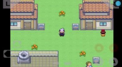 口袋妖怪梦想金币安卓版  V1.0.8图4