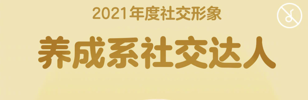 qq2021年度社交形象查看app合集