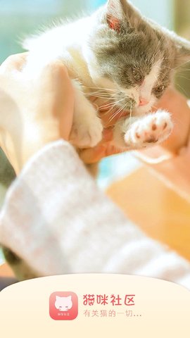 猫咪社区官方app新版图2