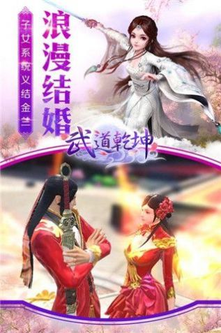 武道叩仙官方版图2