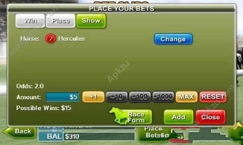 赛马3D安卓版图3