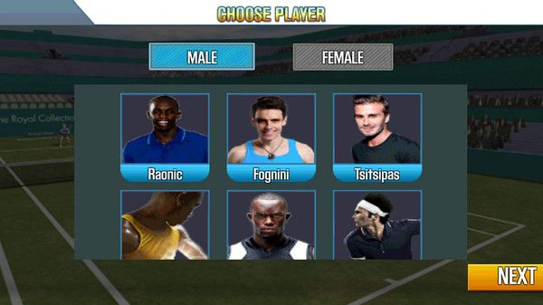 网球冠军3D老版图1