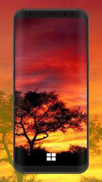 日落壁纸高清唯美图2