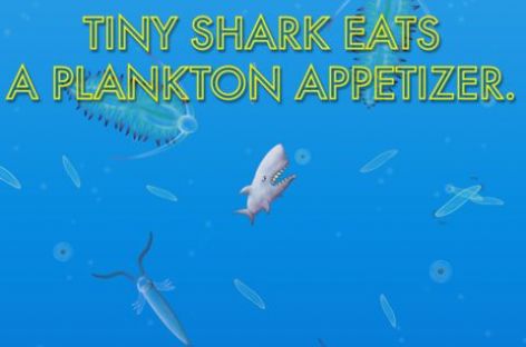 品尝深海游戏下载安卓版最新下载 v1.3.3.0图1