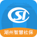 湖州智慧社保app