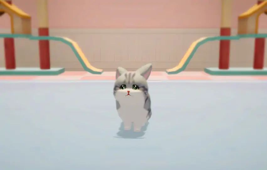 养了个猫最新版图5