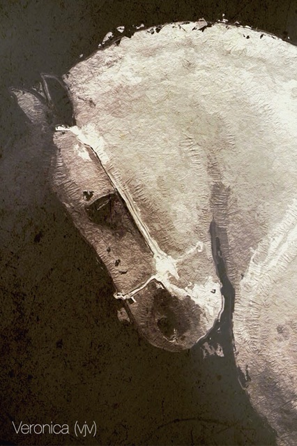 glaze软件安卓图3