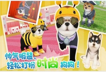 心动小狗伙伴钻石最新安卓版  v1.0图4