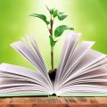 豌豆读书官网app安卓最新版  v1.0