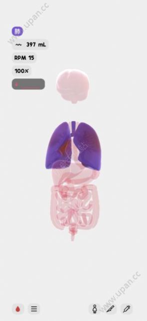 生命life安卓版图1