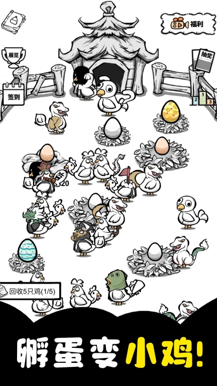 养鸡时长两年半图3