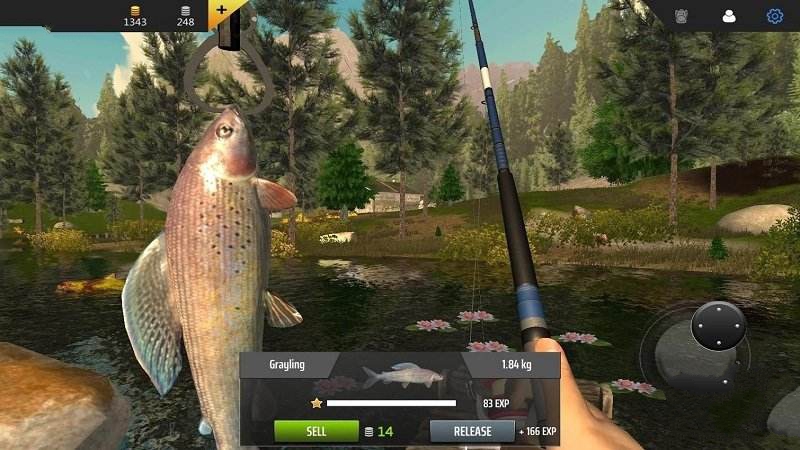 类似钓鱼达人游戏合集