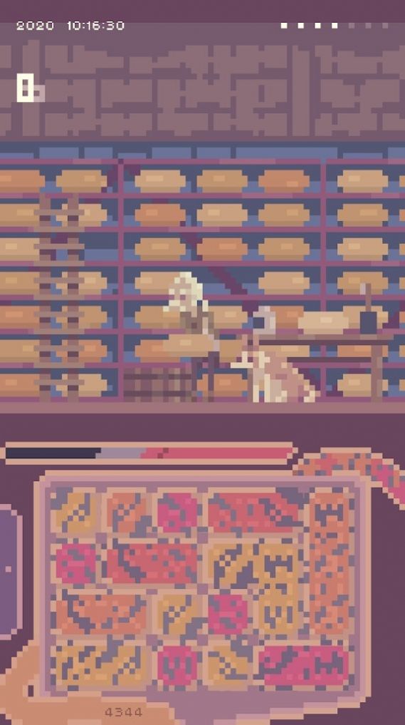 衰竭的肾游戏图2