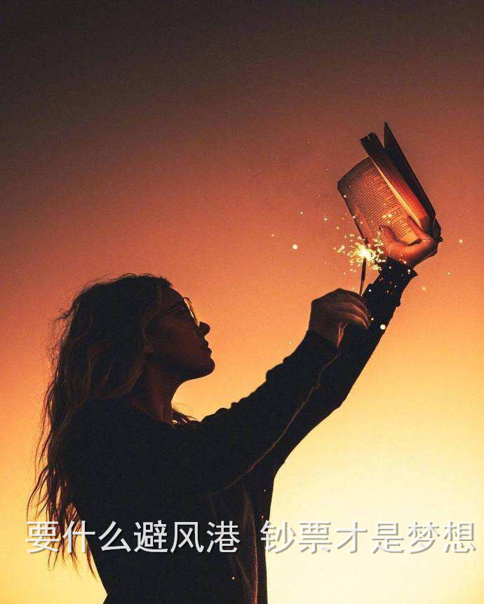 要什么避风港钞票才是梦想背景图片图1