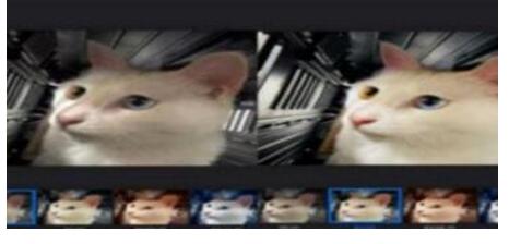 和苹果原相机差不多软件合集