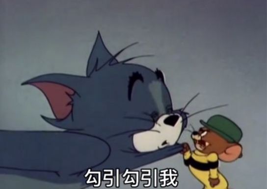 你去拼多多花九块九买条黑丝穿上表情包图3