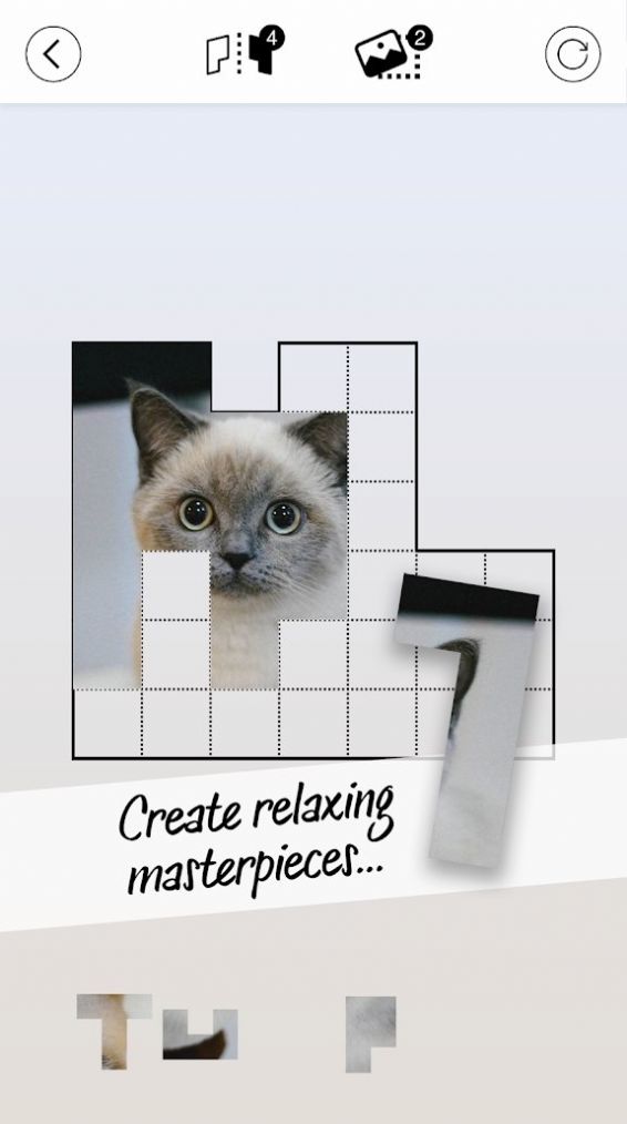 皮托米诺游戏图4