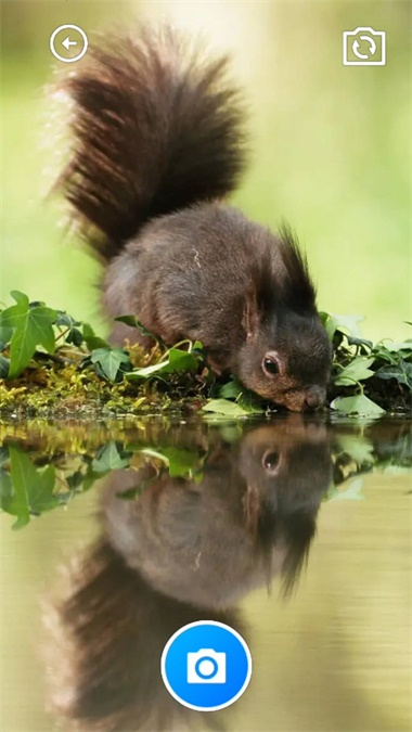 锦绣实用宝匣图3