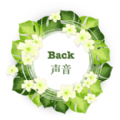 Back声音app