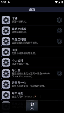 中子音乐播放器图3