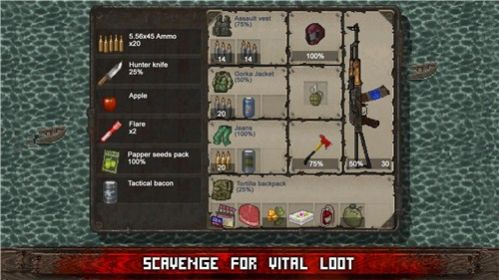 minidayz2中文版图3