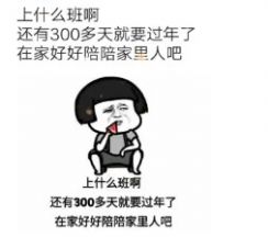 上什么班啊 还有300多天就过年了表情包图1