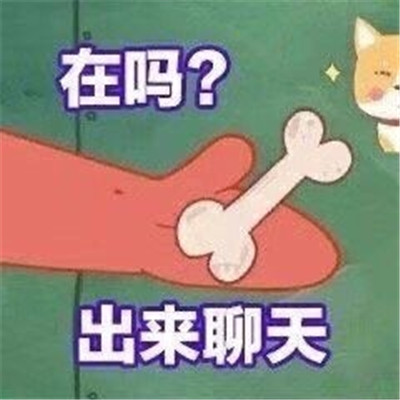 派大星在吗表情包图4