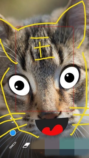 涂鸦Talk app官方最新版下载  v1.0图1