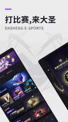 大圣电竞app下载进芳xhyh88碘官方链接 v3.0.1图3